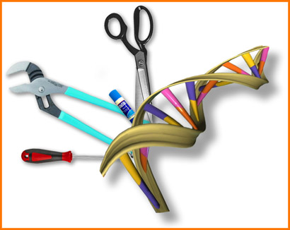molecular biot