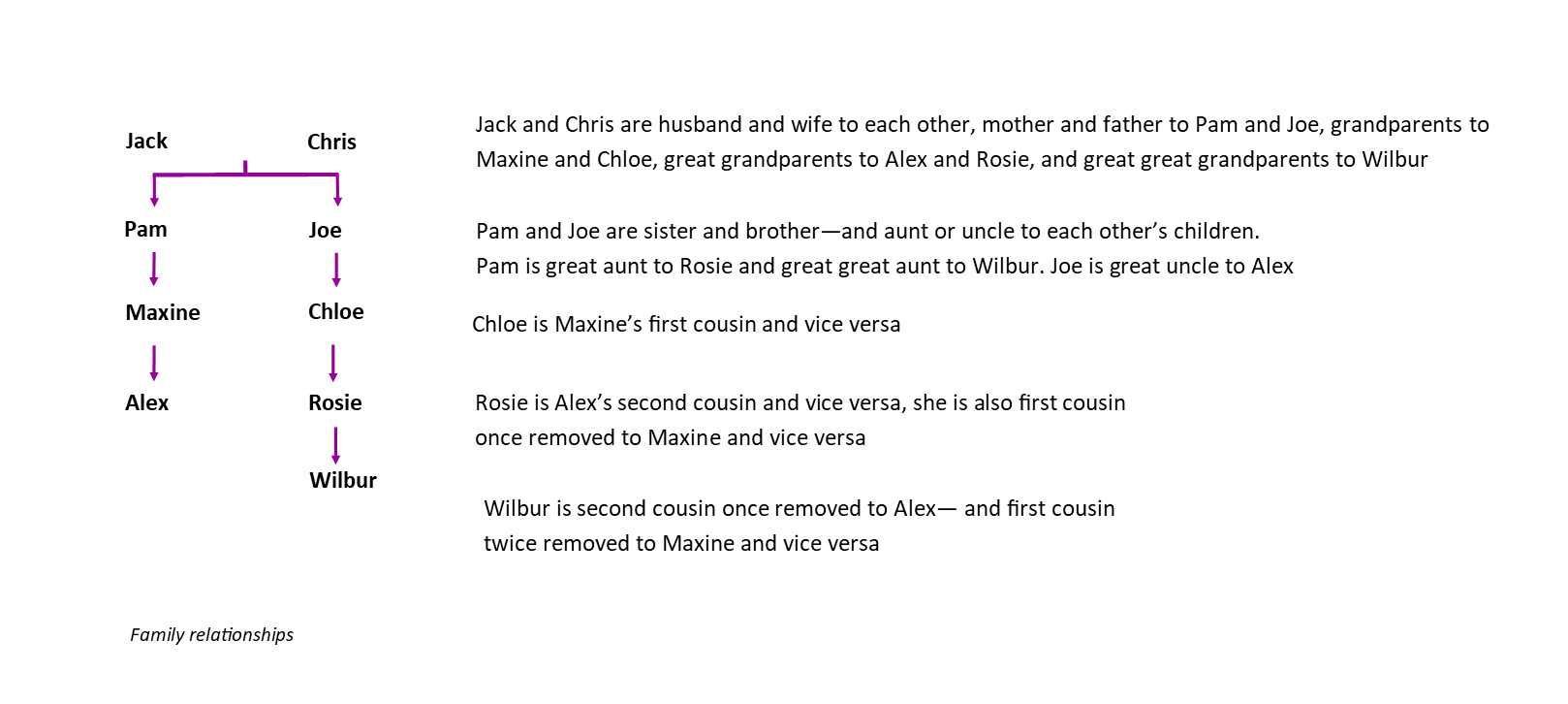 What is a second cousin, once removed or half? 1 Family relationship visual 1